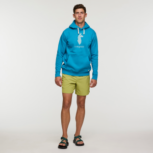 Cotopaxi Llama Pullover Hoodie – Men’s