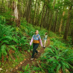 Teca Crop Jacket – Women’s